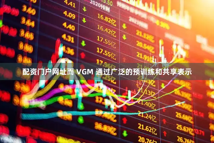 配资门户网址而 VGM 通过广泛的预训练和共享表示