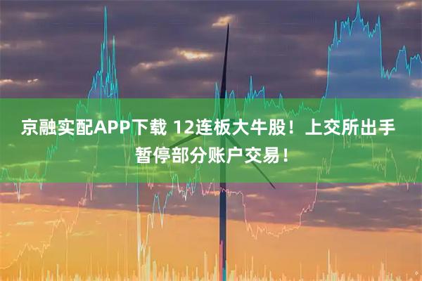 京融实配APP下载 12连板大牛股！上交所出手 暂停部分账户交易！