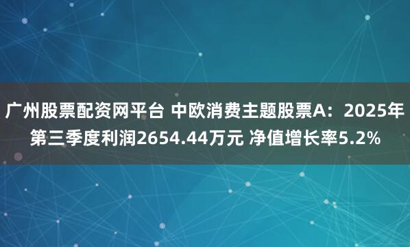 广州股票配资网平台 中欧消费主题股票A：2025年第三季度利润2654.44万元 净值增长率5.2%