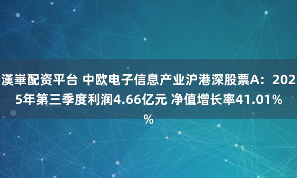 漢崋配资平台 中欧电子信息产业沪港深股票A：2025年第三季度利润4.66亿元 净值增长率41.01%